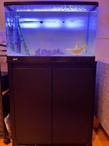 熱帯魚　水槽他フルセット