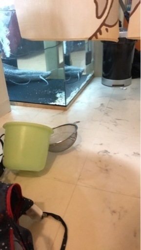 アクリル水槽60×60×50