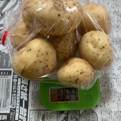じゃがいも、にんじん、収穫しました!!