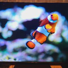 SHARP AQUOS XLED 4T-C65DP1 4K 65インチ 液晶テレビの画像