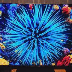 SHARP AQUOS XLED 4T-C65DP1 4K 65インチ 液晶テレビ