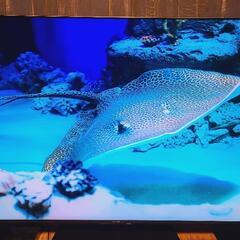 SHARP AQUOS XLED 4T-C65DP1 4K 65インチ 液晶テレビの画像