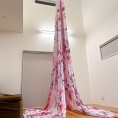 神奈川横須賀初のエアリアルシルクレッスンですの画像