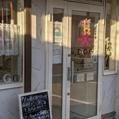 トリマーさん募集中の画像