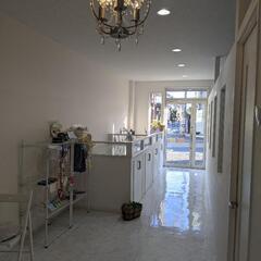 トリマーさん募集中の画像