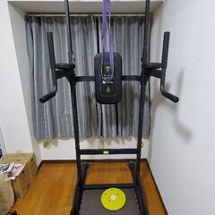 懸垂マシン無料で譲ります!の画像