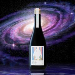 値下げ ALIENS GALAXY 2021

