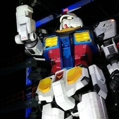Tuesday Walkers 火曜早朝散歩会 メンバー募集 - その他
