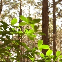 散歩しながら写真📸