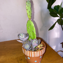 寄せ植え