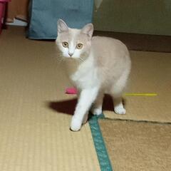 里親募集しています！