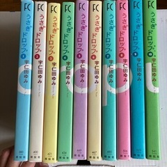 本　売ります！　うさぎドロップ⭐️