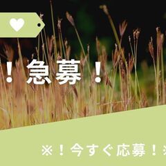 ＼急募×宿泊施設内の接客スタッフ／安心安定の超高時給1700円！！更に日払い制度や入社祝い金の神待遇♪今スグ応募⇒【my】A14K0361-2(1)の画像