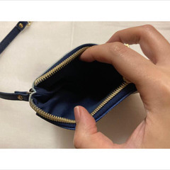 <中古> アナ雪　定期入れ　ポーチ　パスケース　伸びる　アナ　エルサ　ケースの画像