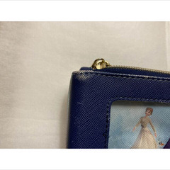<中古> アナ雪　定期入れ　ポーチ　パスケース　伸びる　アナ　エルサ　ケースの画像