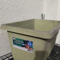 ベジタブルプランター3この画像