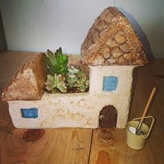 お洒落な鉢植え♪多肉植物、観葉植物 の画像