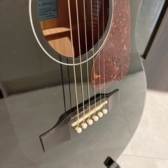EPIPHONE エピフォン エレアコ FT30 Caballeroの画像