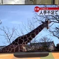 2021年製！4K有機EL対応SONY 48インチテレビ！