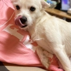 急募！里親を探しています