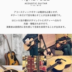 HONEY BEE ハニービー アコースティックギター フォークギタータイプ F-15/MH 初心者入門16点セットの画像