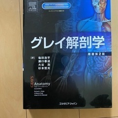 グレイ解剖学
