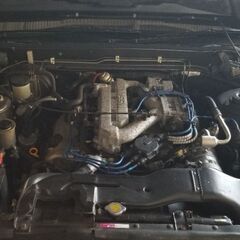 希少色！車検長い！　Ｙ31セドリックセダン　の画像