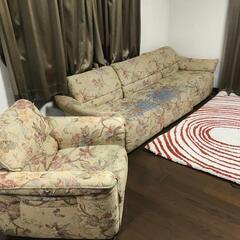 3人掛け+1人掛けソファ
