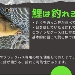 ペレットルアー兼フライ　5個セットの画像