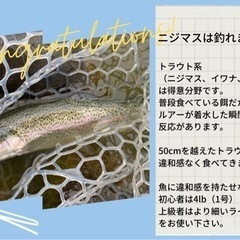 ペレットルアー兼フライ　5個セットの画像