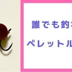 ペレットルアー兼フライ　5個セット