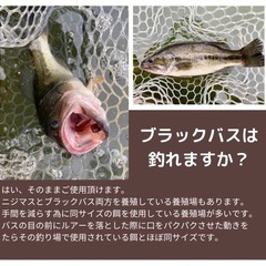 ペレットルアー兼フライ　5個セットの画像