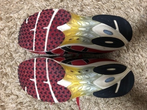 asics ターサージャパン　28.5