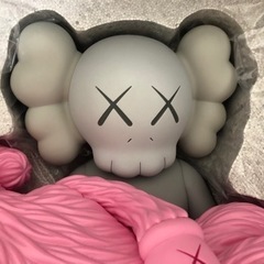 kaws gone pink