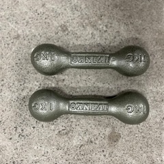 1Kg鉄アレイ (２個セット)