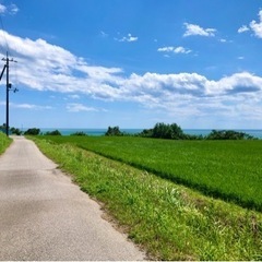 お散歩友達 募集 − 高知県