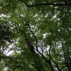 お散歩友達 募集 - 友達
