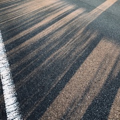 お散歩友達 募集 - 香南市