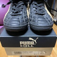 PUMA　プーマ　PM0529 2000　トレロ SL TT　サ...
