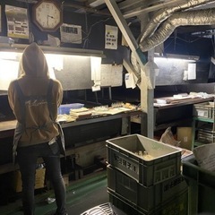経験や知識が無くても、 学生、フリーター、ブランク、学歴不問、未経験者、初心者 外国人の方、子供が居る方、友達ともOK！！ の画像