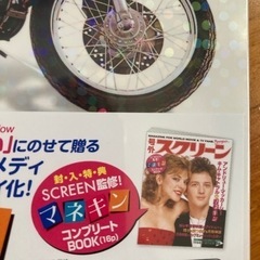 マネキン　レア物入手困難ブルーレイの画像