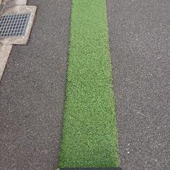 人工芝 35ミリ 約34cm×約360cm