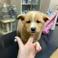 岡山市保健所★可愛い女の子！2.6キロ