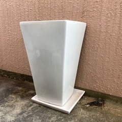 白のオシャレな陶器製植木鉢です！
