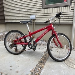 ルイガノ　子供用自転車　20インチ