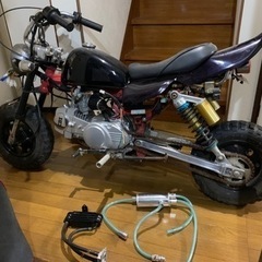 モンキーの画像