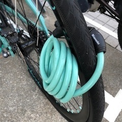 Bianchi Camaleonte C-sportの画像