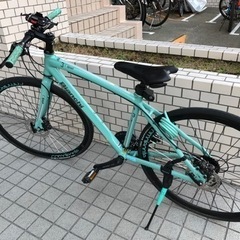 Bianchi Camaleonte C-sport