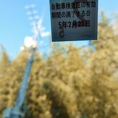 レガシィツーリングワゴン　BP5前期の画像