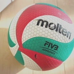 バレーボール新チームメンバー募集中！
